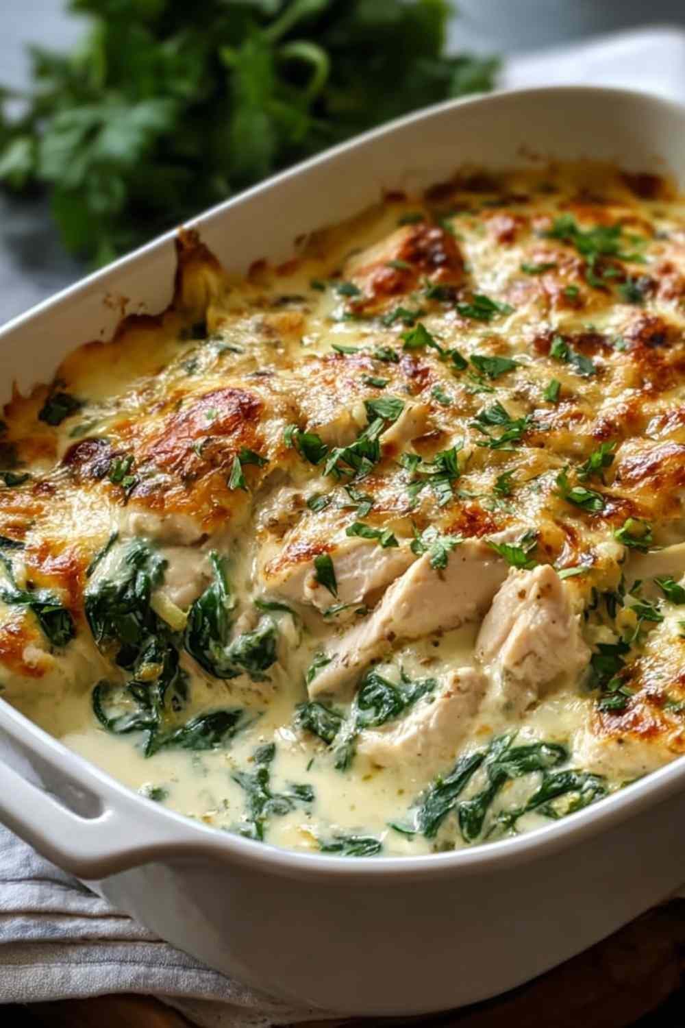 Golden bubbly chicken and spinach casserole fresh from the oven in a white baking dish