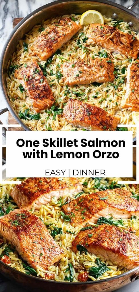 One Skillet Salmon with Lemon Orzo